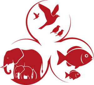 Focus on Biodiversity - sRedList