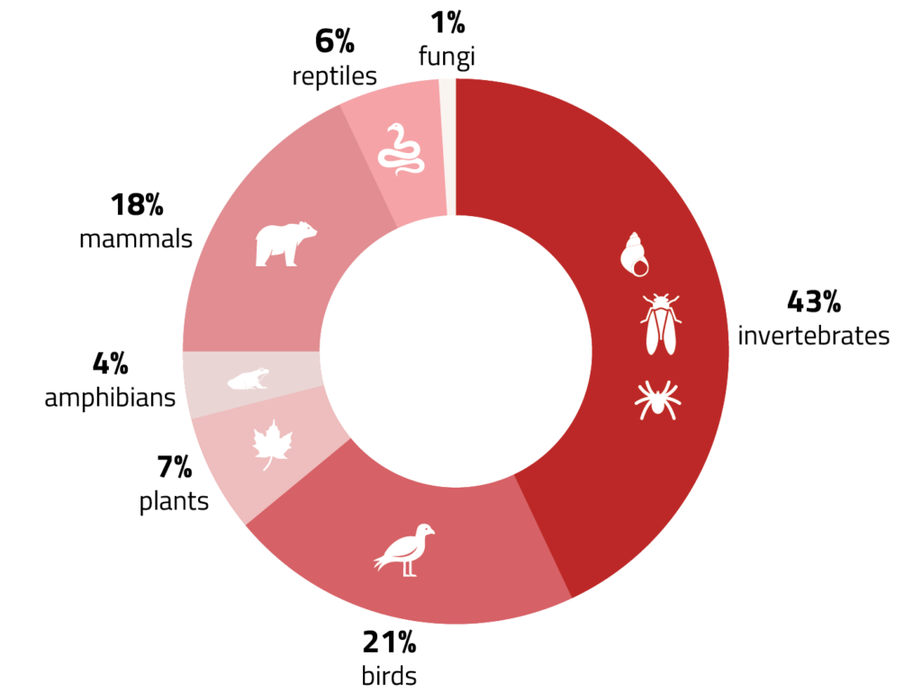 sRedList Taxonomy Circle